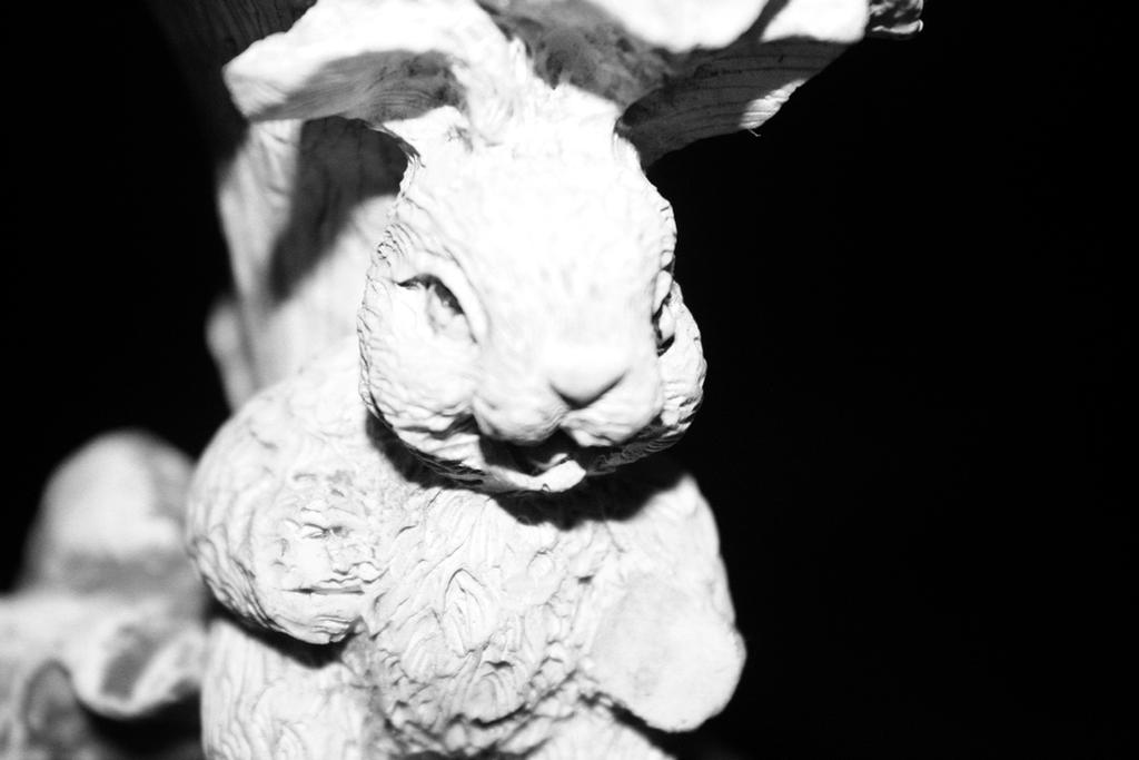 Weird Rabbit Studio Photography Weird bunny - Foto 287/365 (Proyecto) by Someliar on DeviantArt