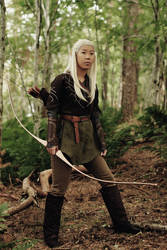 Legolas - prince of Mirkwood