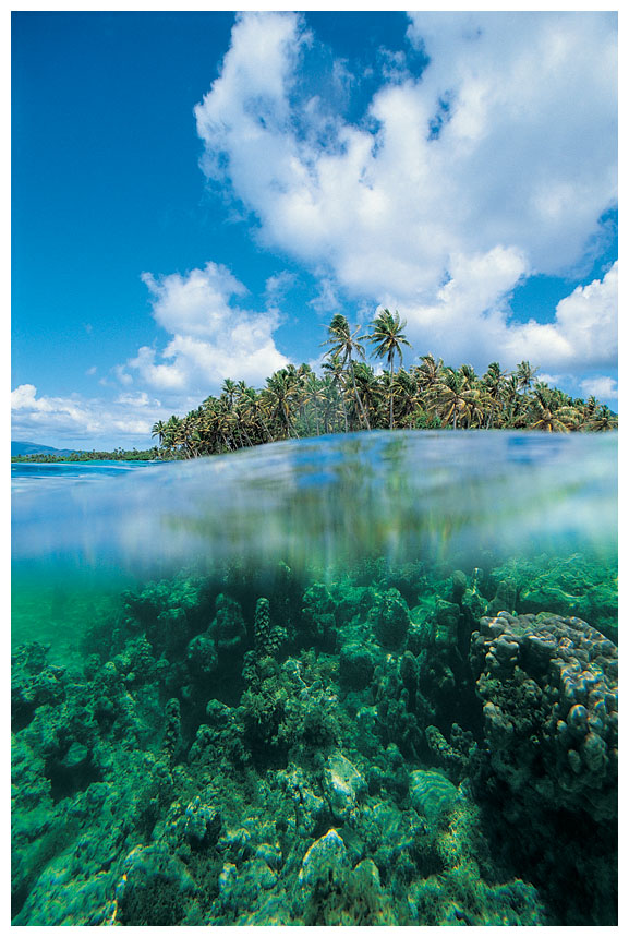 Water, Land and Sky