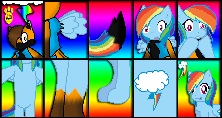 Matthew TG Rainbow Dash