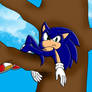 COLOURED: Sonic Layin in a tree