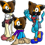 The Three Kitty Matt