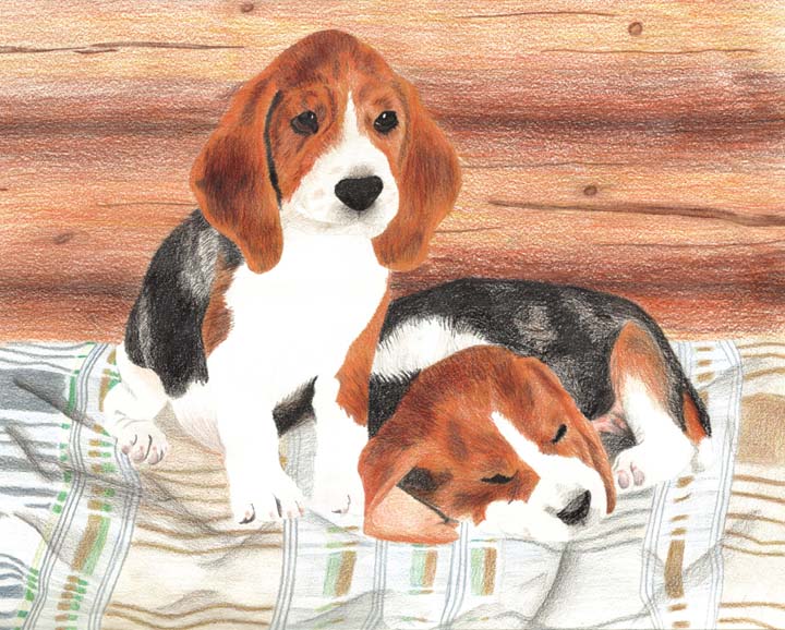 Beagles