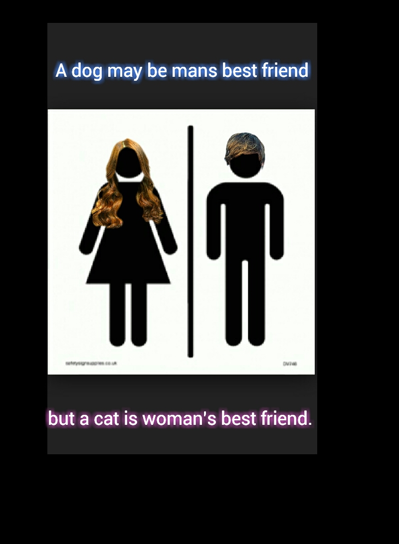 Womans best freind!