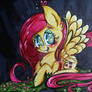 Fluttershy