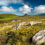 The hills of Kerry