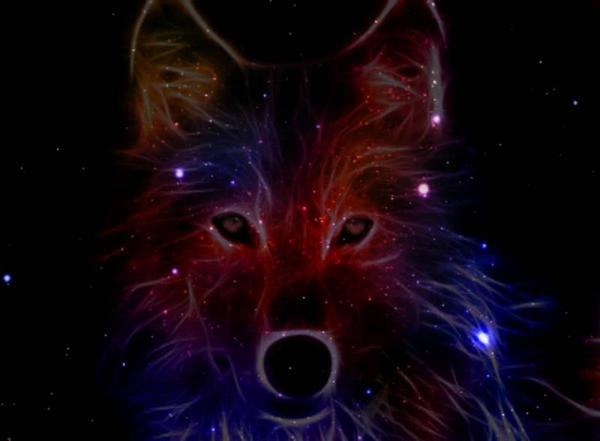 galaxy wolf wallpaper by helina01 on DeviantArt