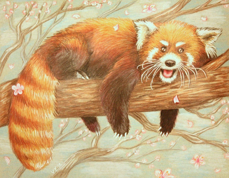 Red Panda Pencil