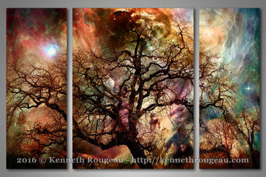 Heaven and Earth: The Dream Oak