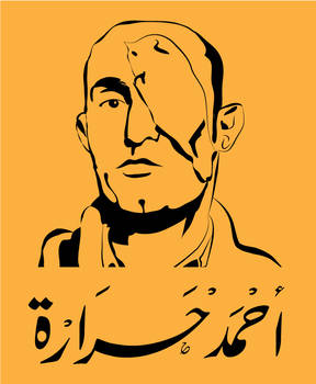 Ahmed Harara  from Egyptian revolution