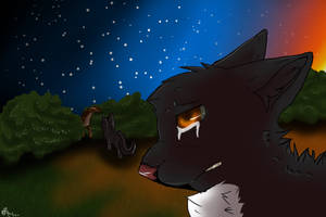 Ravenpaw's goodbye.