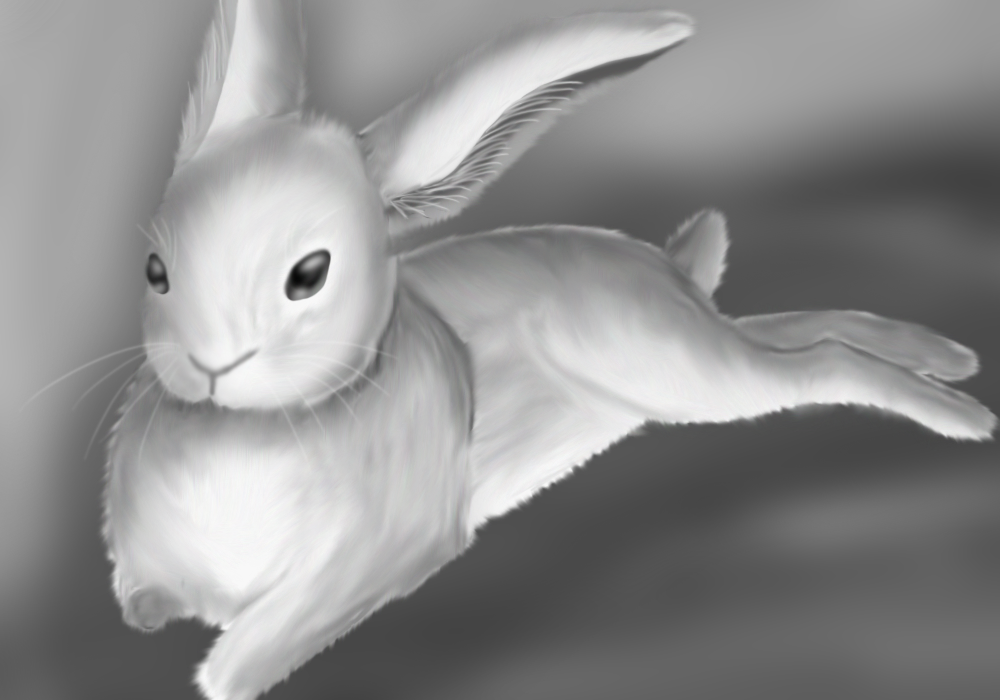 First Own Rabbit by oO-Howling-Wolf-Oo on DeviantArt