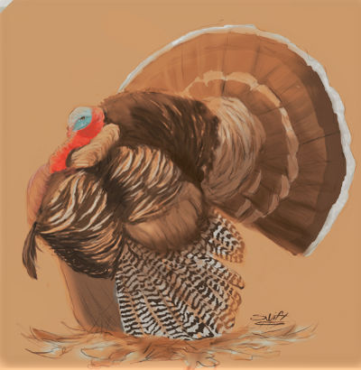 Random Turkey by TheSwiftServal on DeviantArt