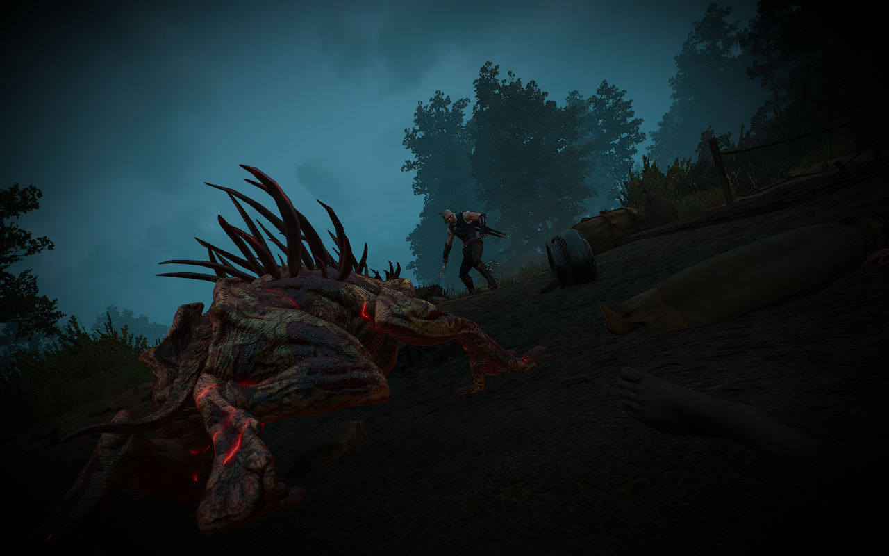 The Witcher 3 Screenshot Alghoul Fight by RichGamePhotograpy on DeviantArt