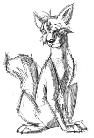 Fox Sketch