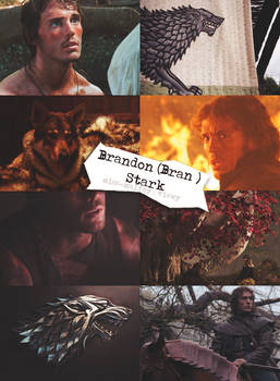 Bran Stark