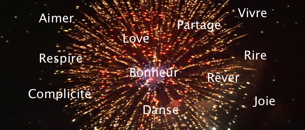 feu d'artifice du bonheur