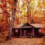 autumn-1740686 Painting