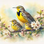 Meadowlarks 1