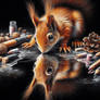 Squirrel Chalk Reflection