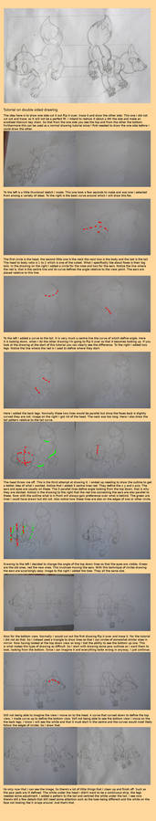 Tutorial on drawing both sides of an animal