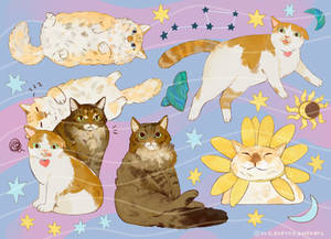 Sticker sheet commission