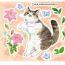 Commission Stickers with your Cat lilies