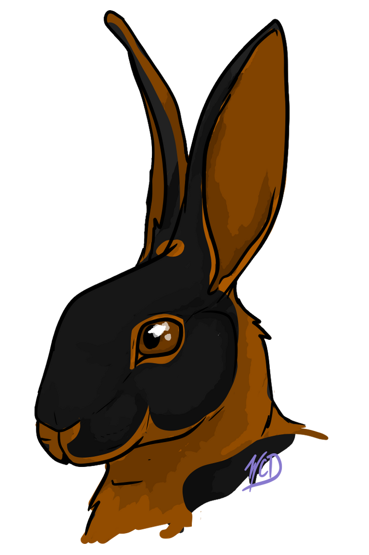 tan rabbit by king-asriel on DeviantArt