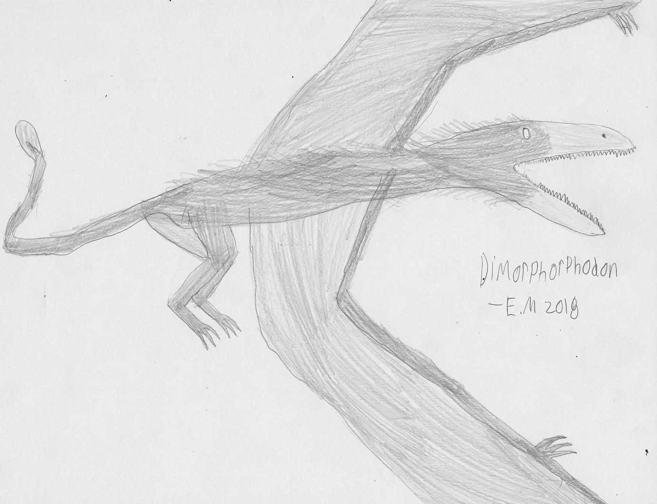 Dimorphodon by Erickaiju1954 on DeviantArt