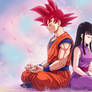 Goku and Chichi - Harmony in Stillness