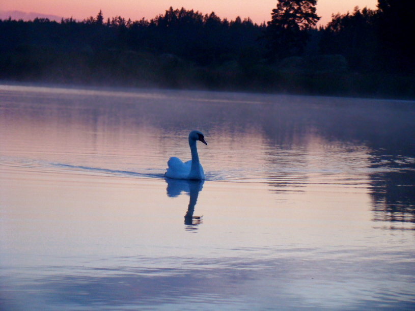 magic lake