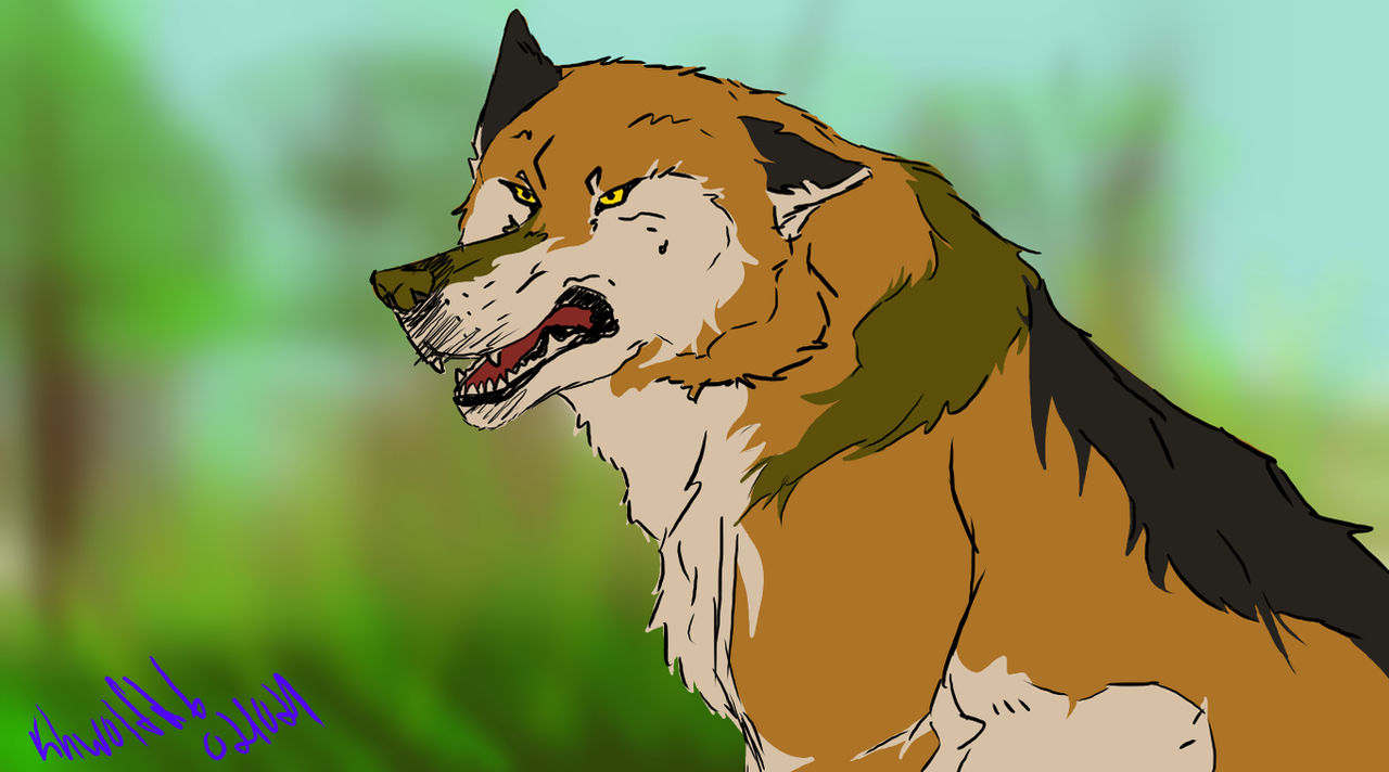 Wolf by TigerWolf26 on DeviantArt