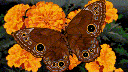 Podfly Animation butterfly animation! by YellyDany on DeviantArt