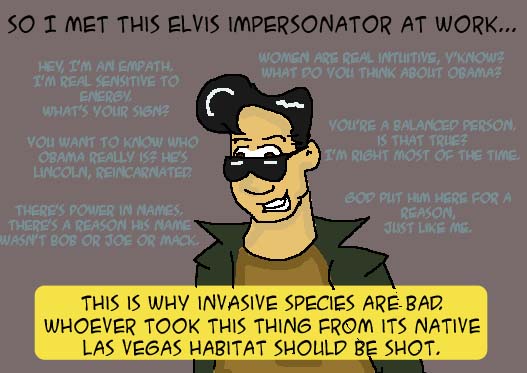 Elvis Impersonator