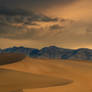Dunes in Contrast