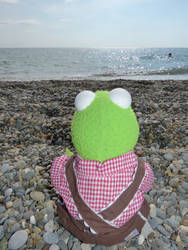 Kermit Frog Sea