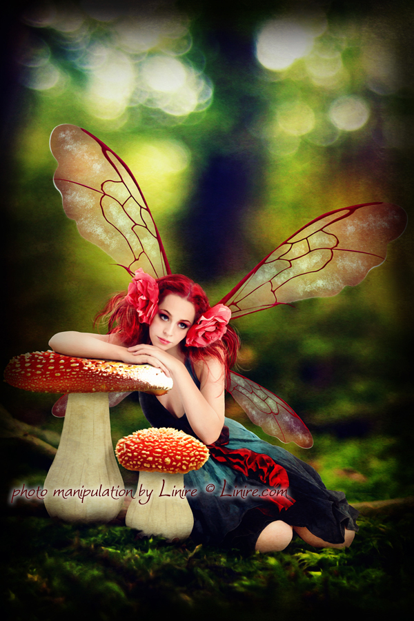 Autumn fairy