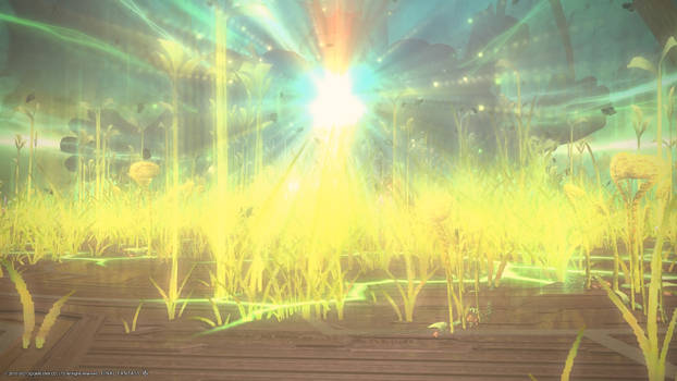 Screenshots of Eorzea: Ein Sof Ohr (Sephirot)