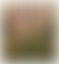 Cirmelda's Teleportation Mishap