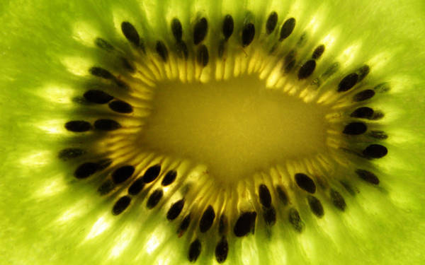Kiwi Fruit Wallpaper by KatherineDavis
