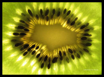 Kiwi Fruit