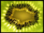 Kiwi Fruit by KatherineDavis