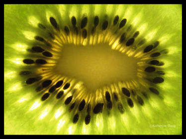 Kiwi Fruit