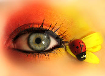 Ladybug eye