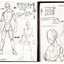 How i draw the body basics