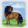 Horse Avatar 2