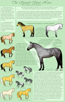 Spanish Sport Horse Breed