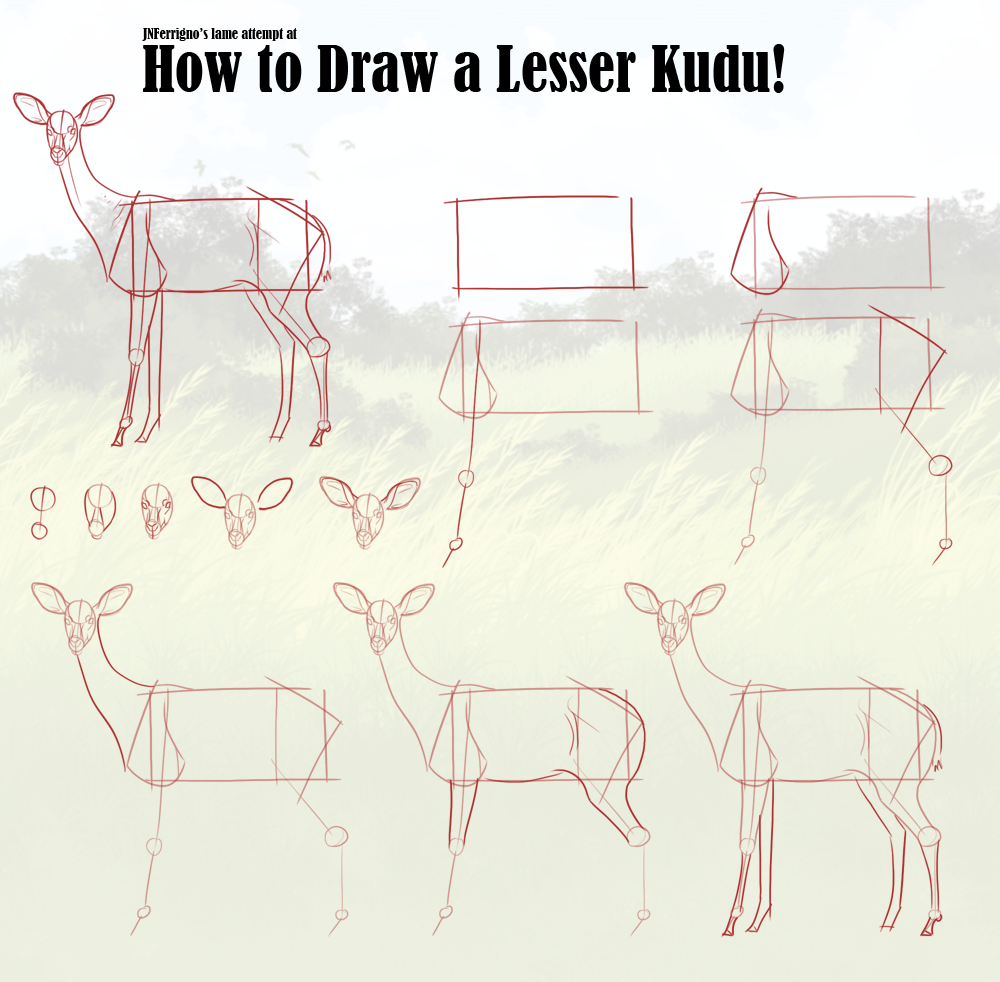 H2D: Lesser Kudu