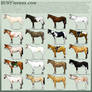 HuntHorse SIM