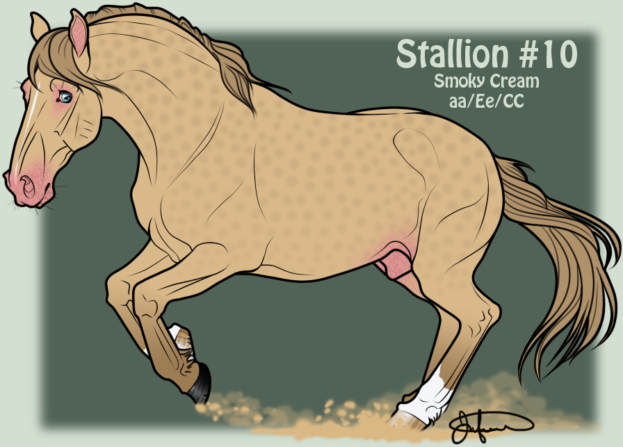 Mustang Stallion Adoption 10 by JNFerrigno on DeviantArt